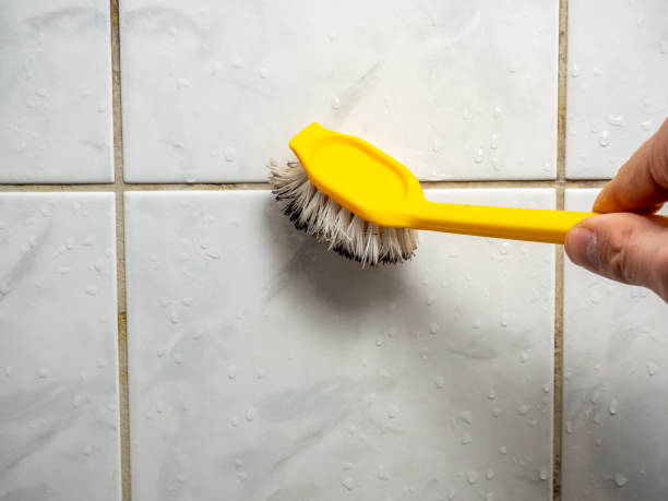 Best Certified Mold Removal  in Murphy, TX