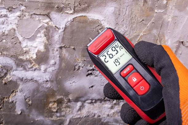 Best Attic Mold Removal  in Murphy, TX