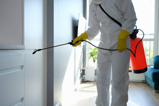 Best Crawl Space Mold Removal  in Murphy, TX
