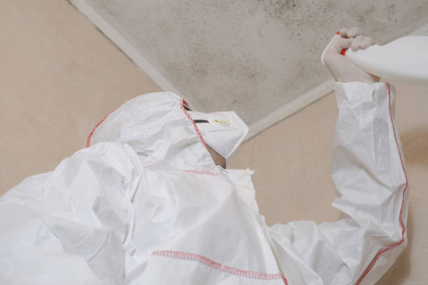 Best Home Mold Removal  in Murphy, TX